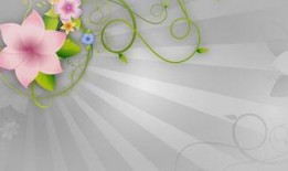 花边娱乐爆料长视频,长视频背后的惊人内幕